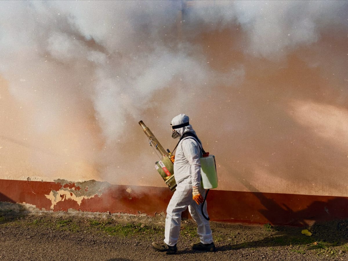 Dengue a San Martino Buon Albergo: la nuova sfida sanitaria che interroga l'Italia