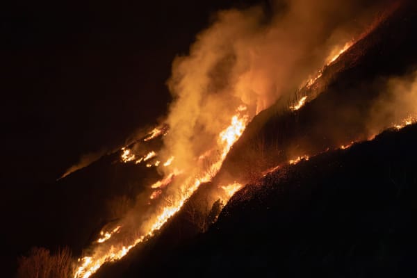 Salento in fiamme, tra roghi e incuria: l'incubo estivo che paralizza il Sud