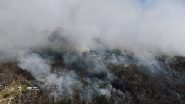 Incendio a Ugento: il Salento brucia e la fragilità del turismo torna in primo piano